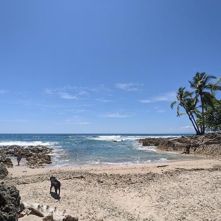 La Sana Surf Hotel - New Management Playa Santa Teresa  外观 照片