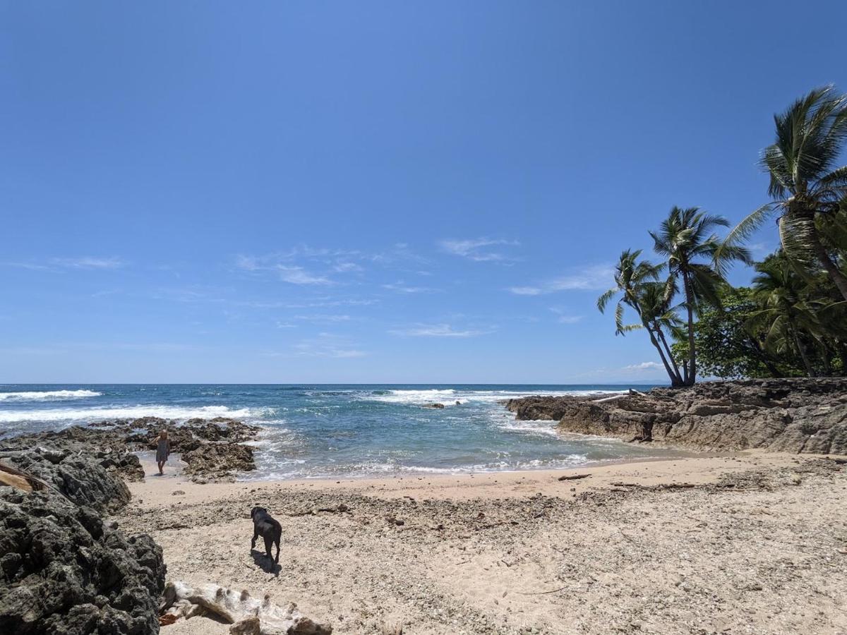 La Sana Surf Hotel - New Management Playa Santa Teresa  外观 照片